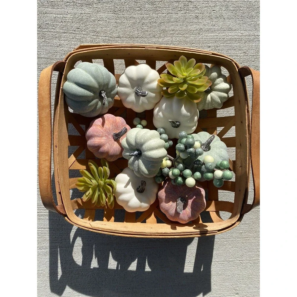 Fall Autumn Thanksgiving Gourds Succulents Pumpkin Bowl Fillers Berries Tabletop - Picture 3 of 6